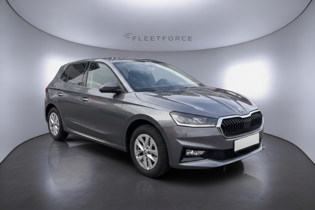 Skoda Fabia Monte Carlo in Grau