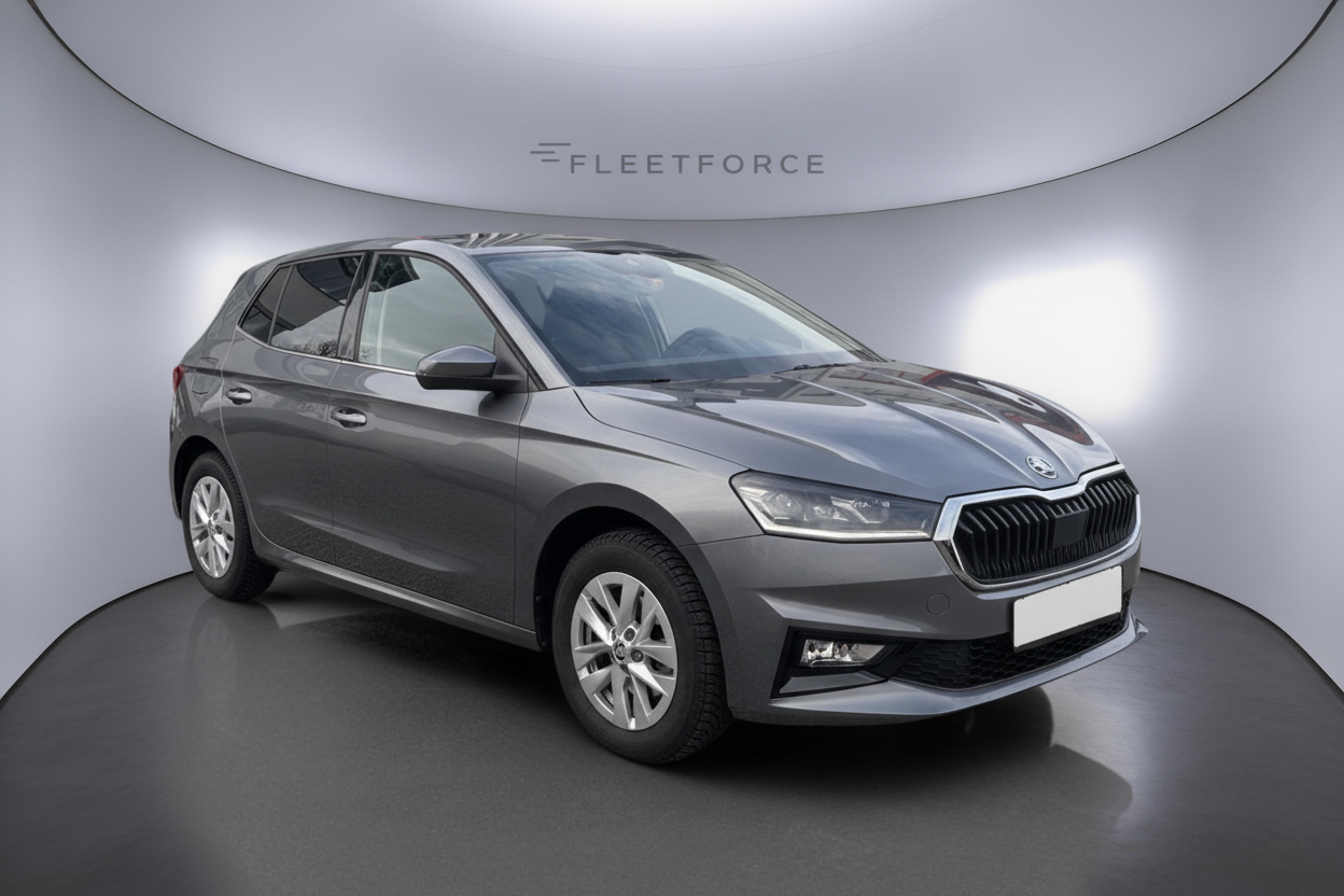 Skoda Fabia Selection in Grau