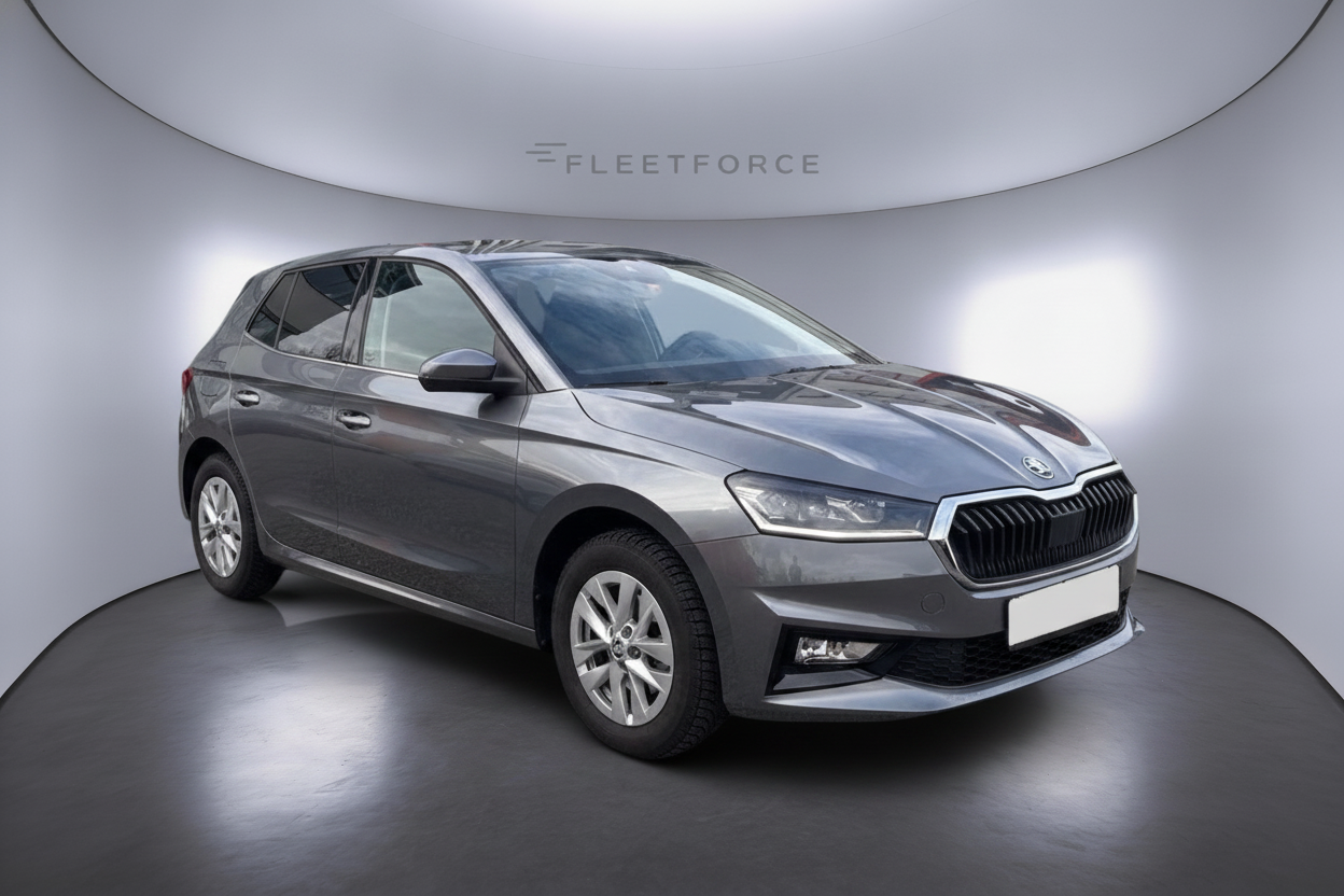 Skoda Fabia Selection in Grau