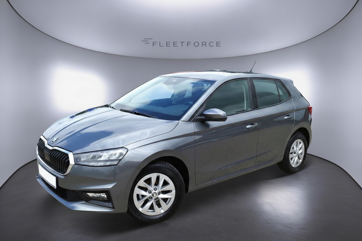 Skoda Fabia Style in Grau