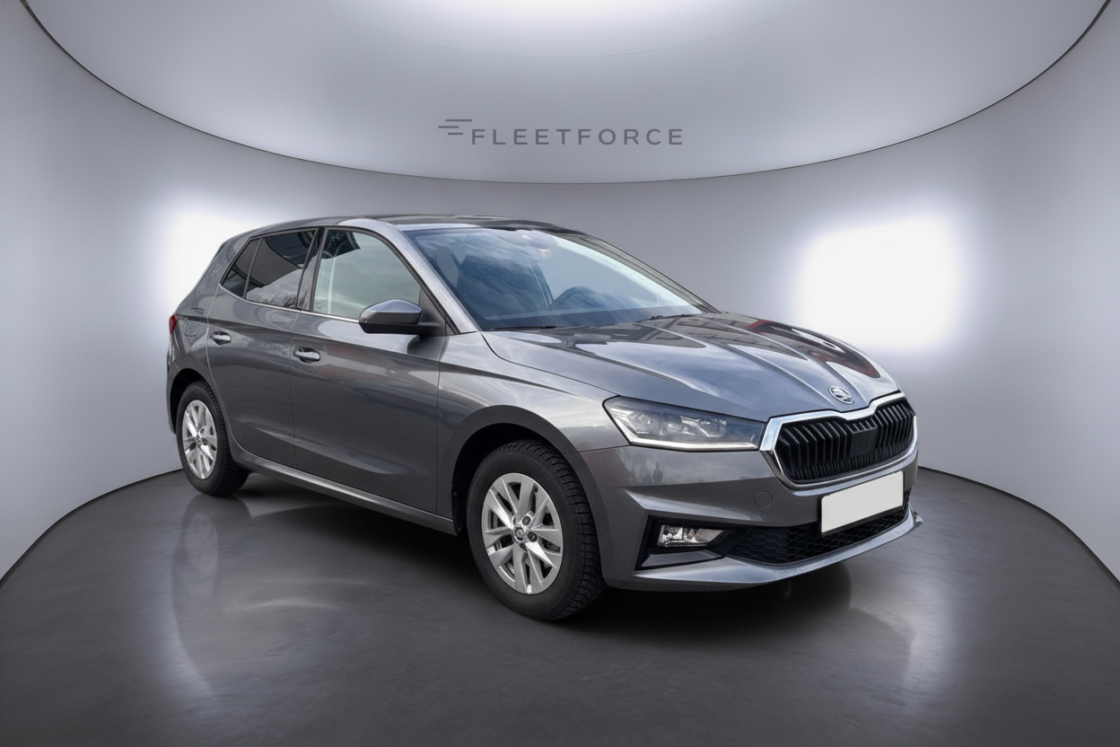 Skoda Fabia Selection in Grau