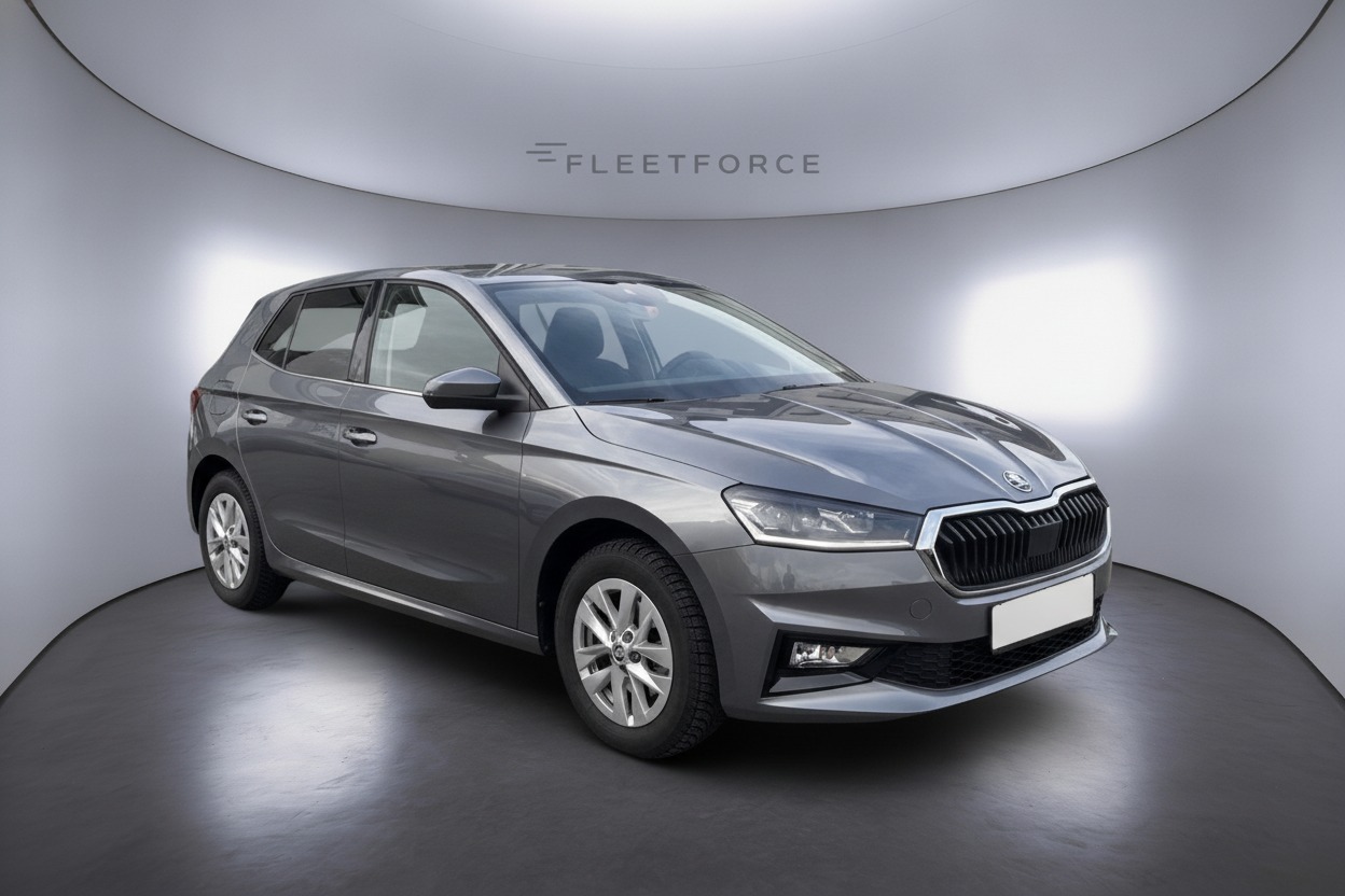 Skoda Fabia Style in Grau