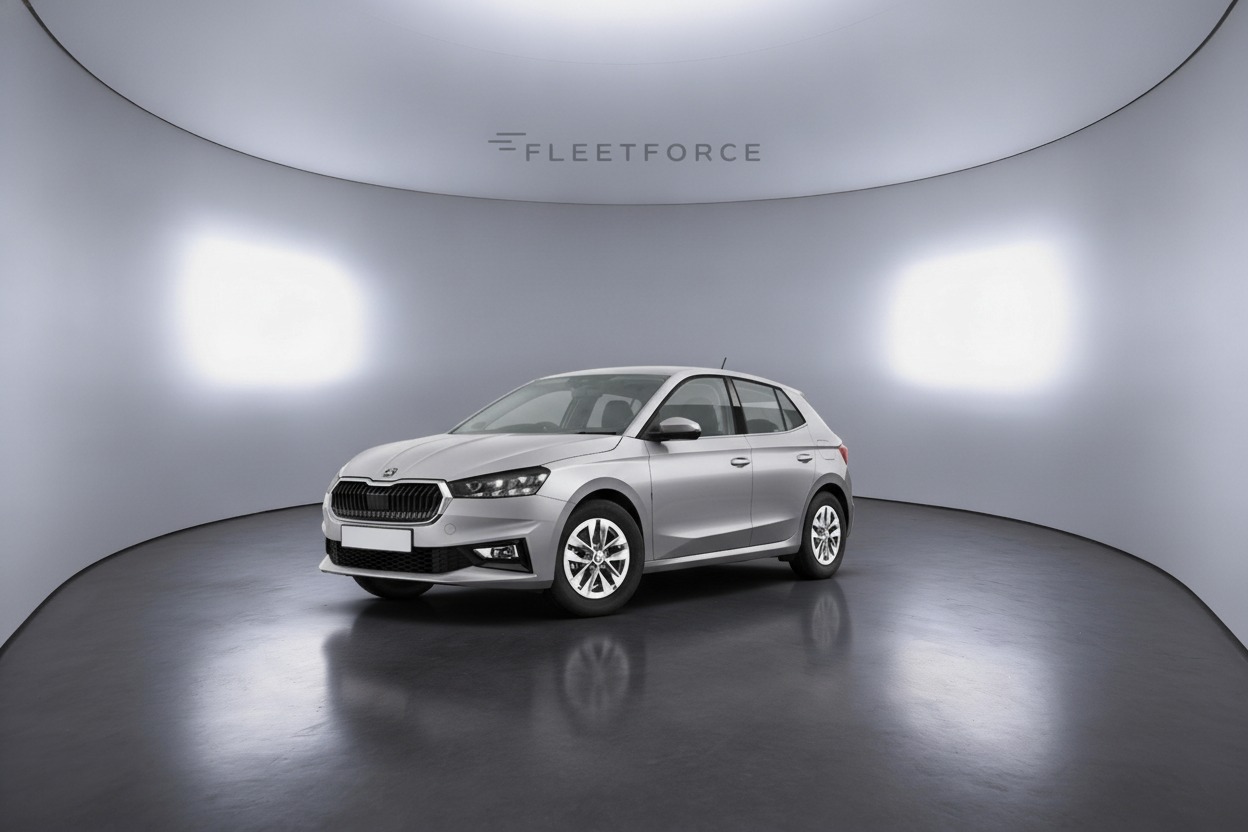 Skoda Fabia Selection in Grau