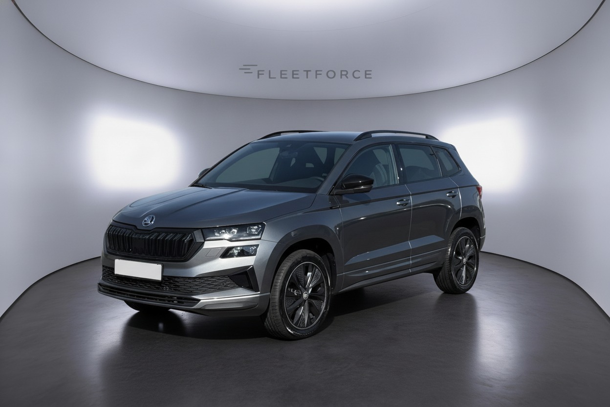 Skoda Karoq Ambition in Grau