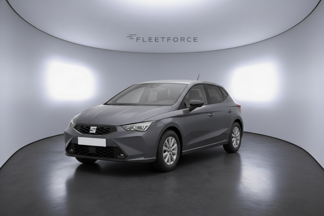 Seat Ibiza in Grau