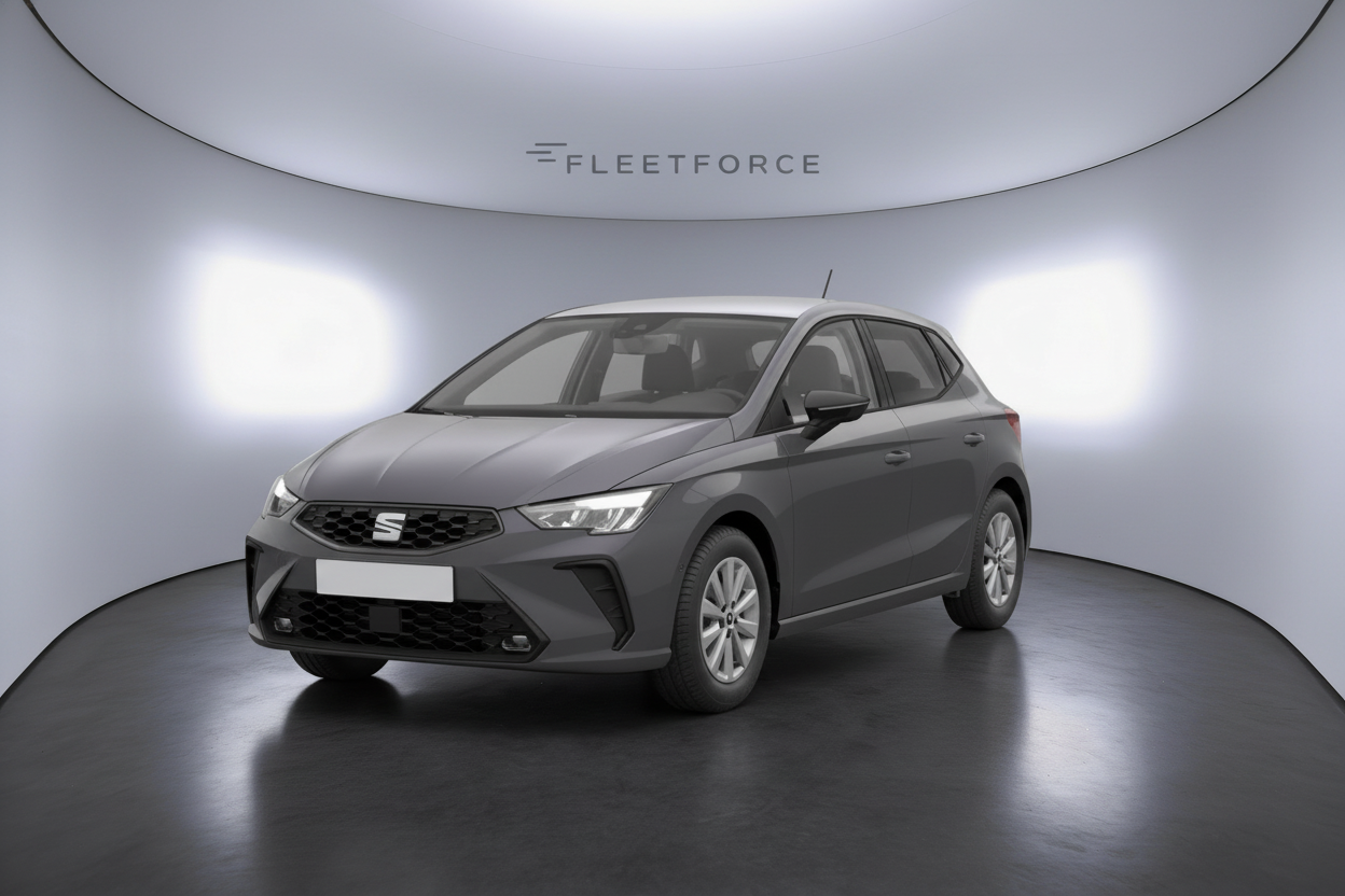 Seat Ibiza in Grau