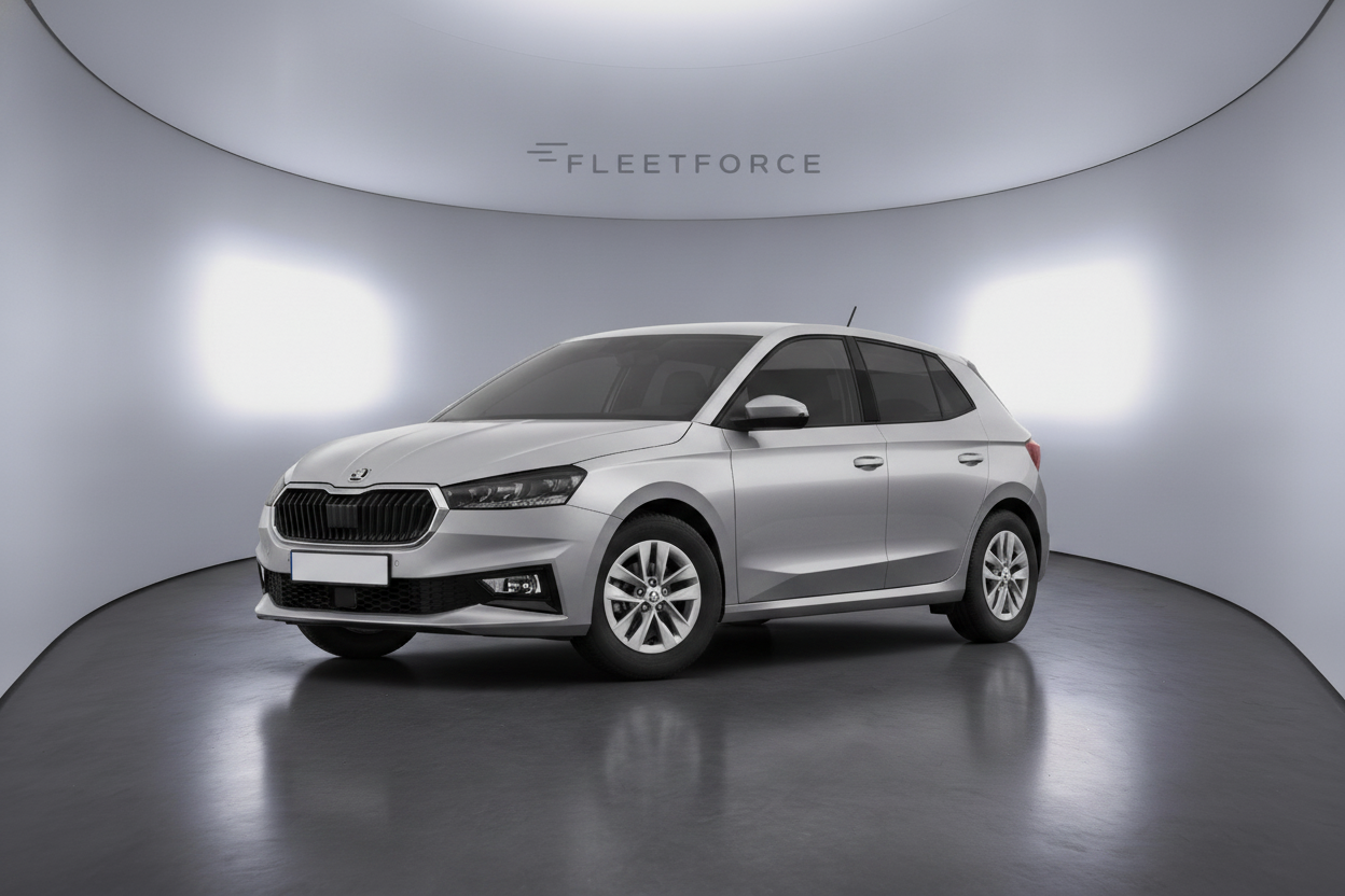 Skoda Fabia Selection PLUS in Silber